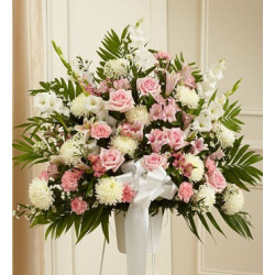 Arrangement (FA-048)