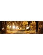 Casket Outlet - Metal Caskets